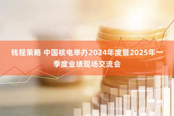 钱程策略 中国核电举办2024年度暨2025年一季度业绩现场交流会