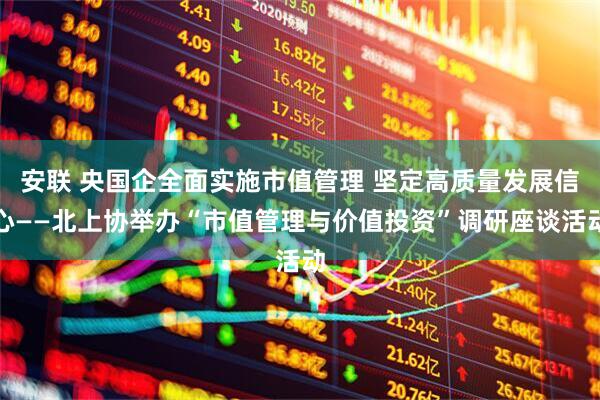 安联 央国企全面实施市值管理 坚定高质量发展信心——北上协举办“市值管理与价值投资”调研座谈活动