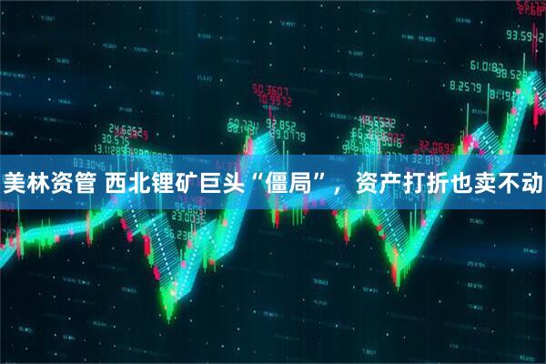 美林资管 西北锂矿巨头“僵局”，资产打折也卖不动