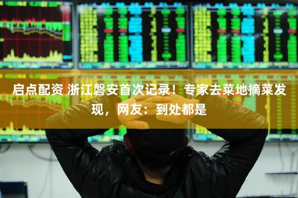 启点配资 浙江磐安首次记录！专家去菜地摘菜发现，网友：到处都是