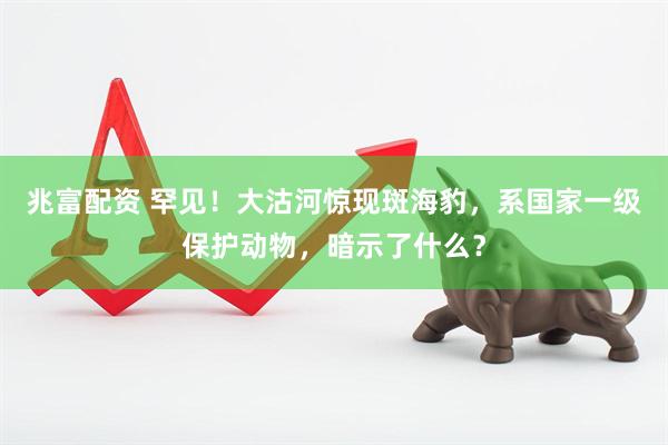 兆富配资 罕见！大沽河惊现斑海豹，系国家一级保护动物，暗示了什么？