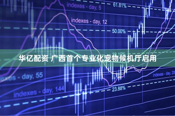 华亿配资 广西首个专业化宠物候机厅启用