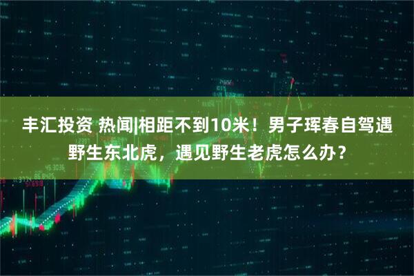 丰汇投资 热闻|相距不到10米！男子珲春自驾遇野生东北虎，遇见野生老虎怎么办？