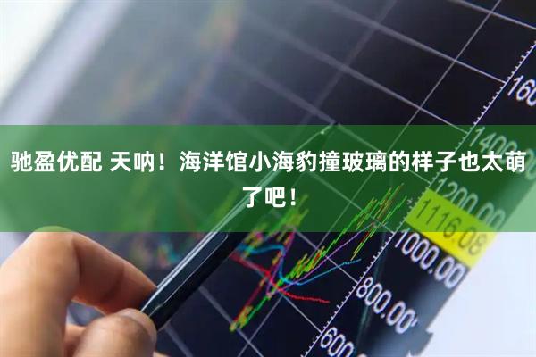 驰盈优配 天呐！海洋馆小海豹撞玻璃的样子也太萌了吧！