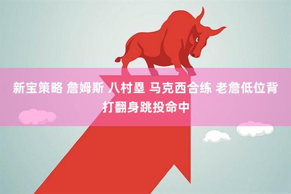 新宝策略 詹姆斯 八村塁 马克西合练 老詹低位背打翻身跳投命中