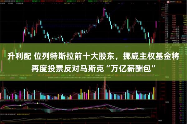 升利配 位列特斯拉前十大股东，挪威主权基金将再度投票反对马斯克“万亿薪酬包”