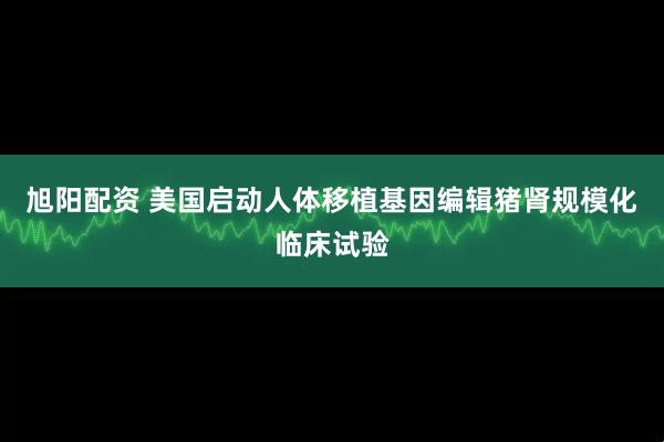 旭阳配资 美国启动人体移植基因编辑猪肾规模化临床试验