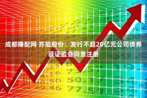 成都赚配网 苏能股份：发行不超20亿元公司债券获证监会同意注册