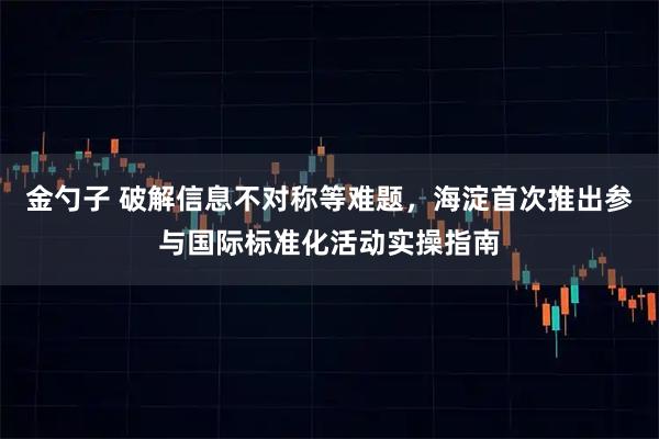金勺子 破解信息不对称等难题,海淀首次推出参与国际标准化活动实操指南